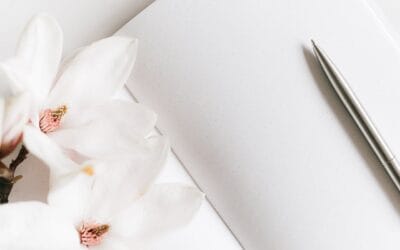 Hoe helpt journalen bij je website?