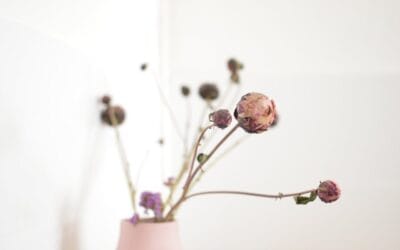 Creëren vanuit rust